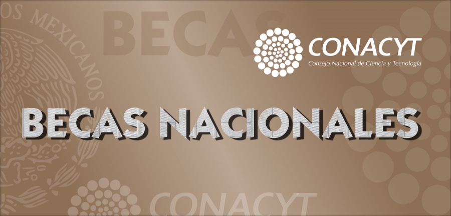 BECAS CONACYT